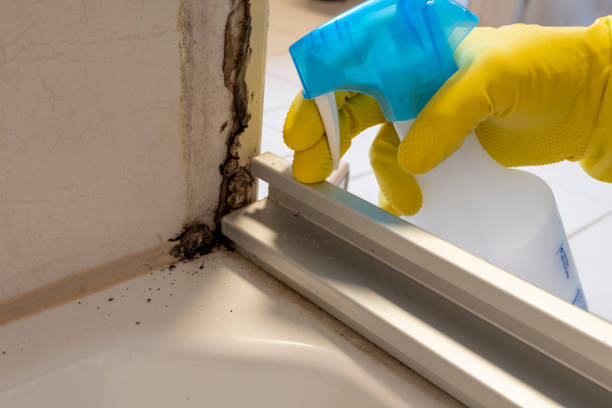 Water Damage Restoration in Knox, PA