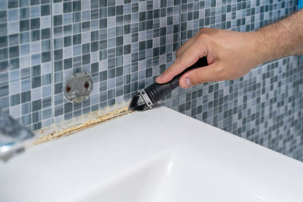 Professional Mold Removal in Knox, PA