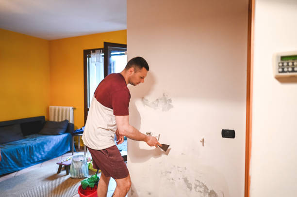 Best Mold Remediation  in Knox, PA